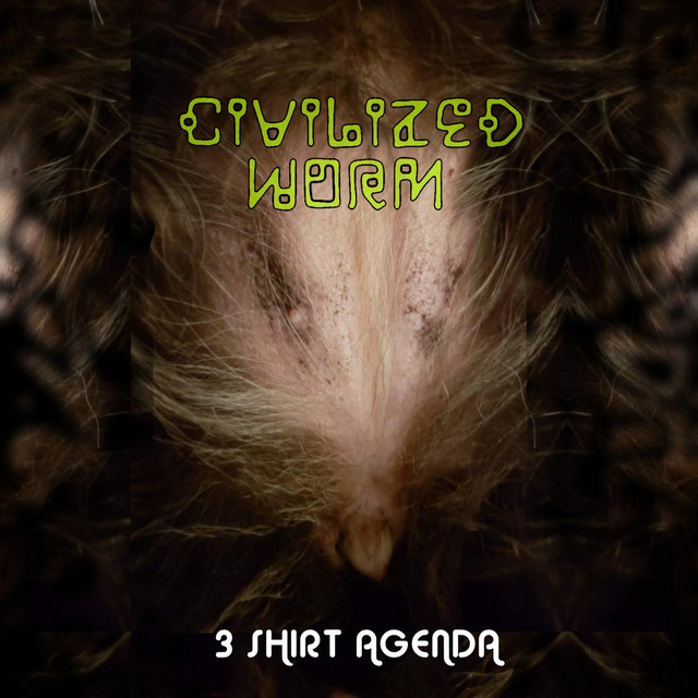 3 Shirt Agenda cover art