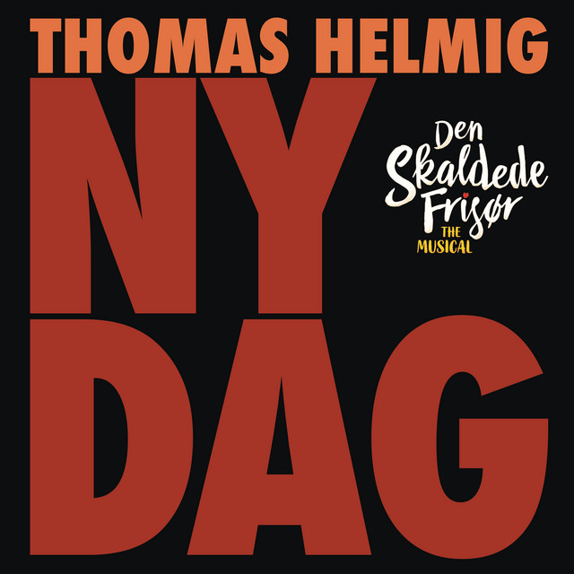 Ny Dag album image