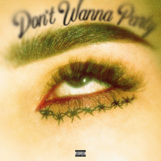 Don't Wanna Party cover art
