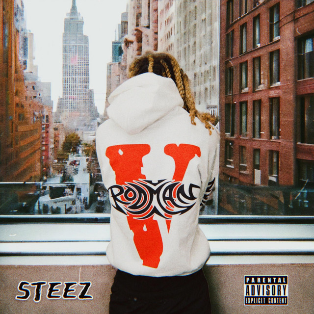 STEEZ cover art