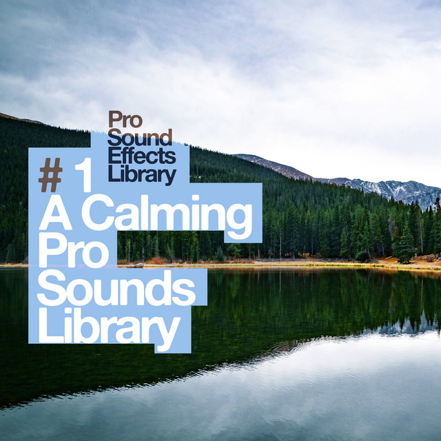 Chimes on the Breeze - song and lyrics by Pro Sound Effects Library ...