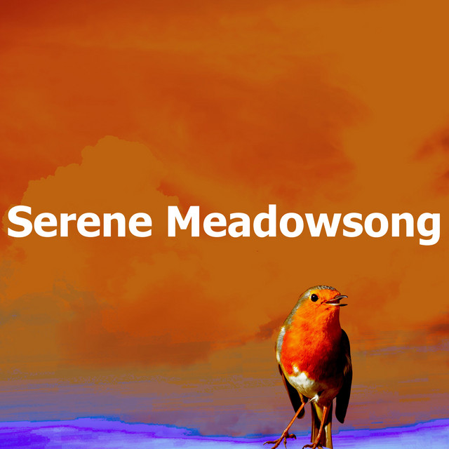 Serene Meadowsong cover art