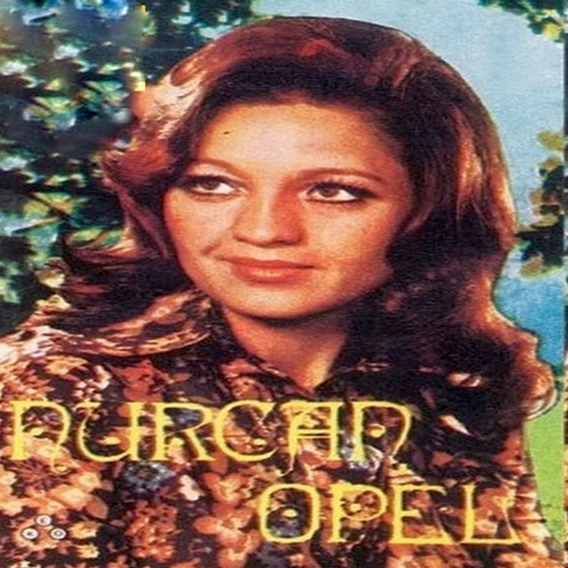 Bu Son Mektubu Yazarken cover art