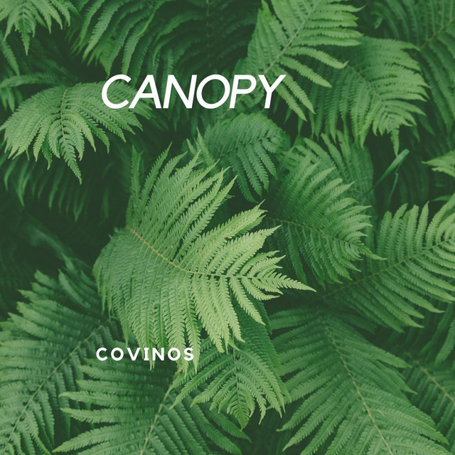 Canopy