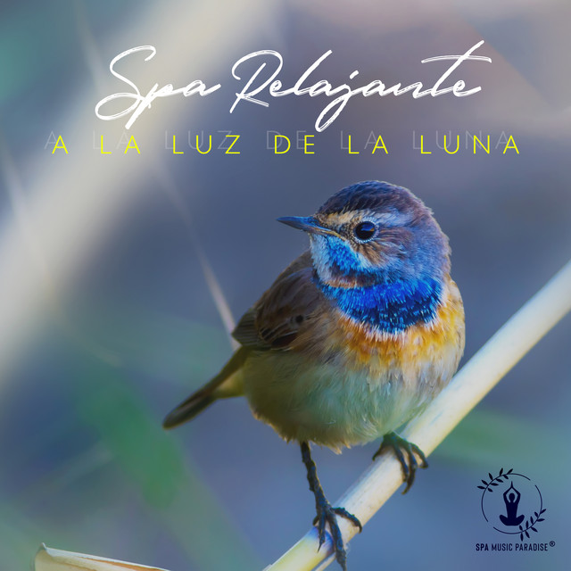 Sueño Profundo cover art