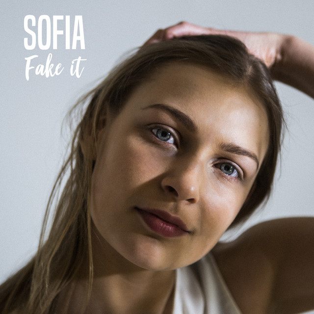 Fake It cover art
