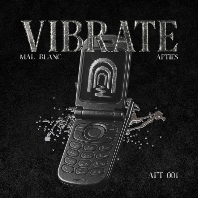 Vibrate - Radio Edit