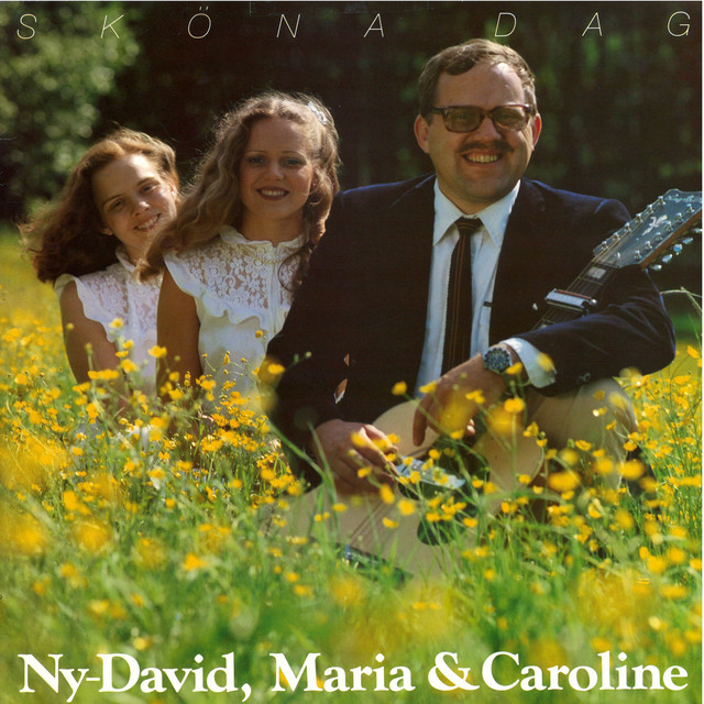 Ny-David