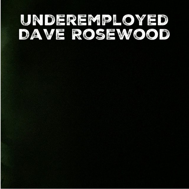 Underemployed cover