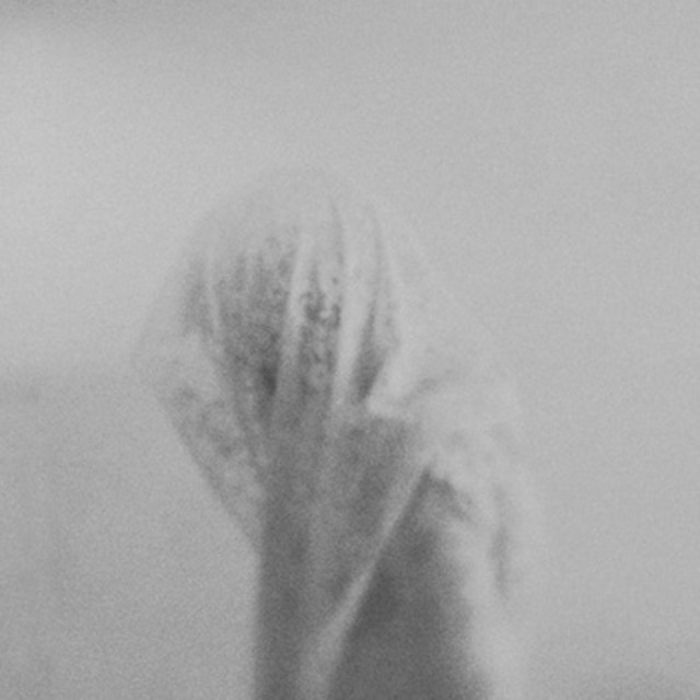 Világvége cover art