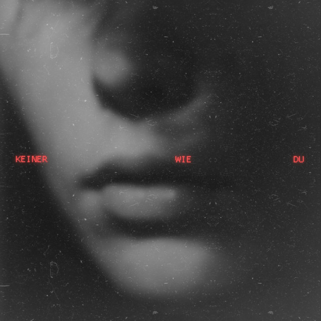 KEINER WIE DU cover art