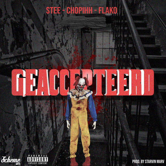 Geaccepteerd cover art