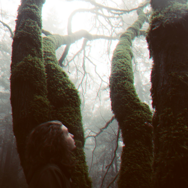 Running Through the Forest cover art