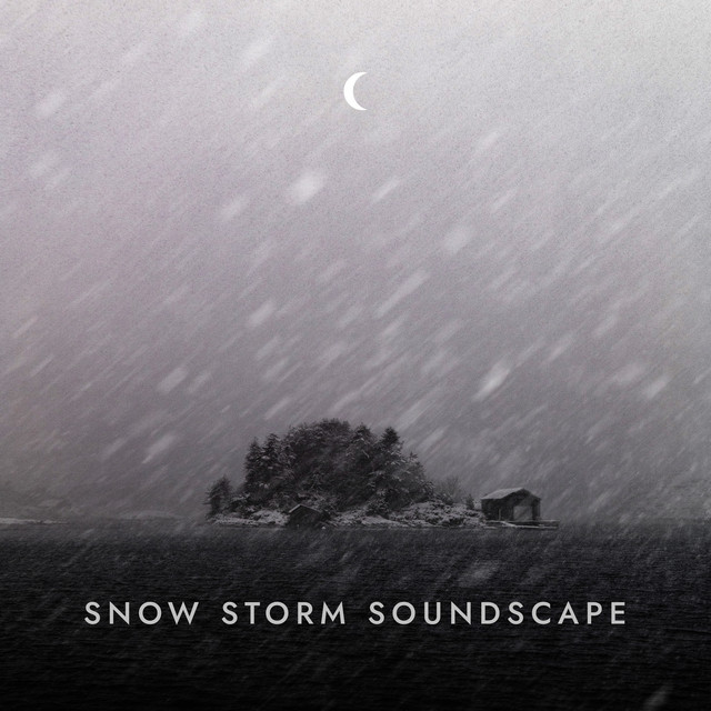 Snow Storm Soundscape cover art