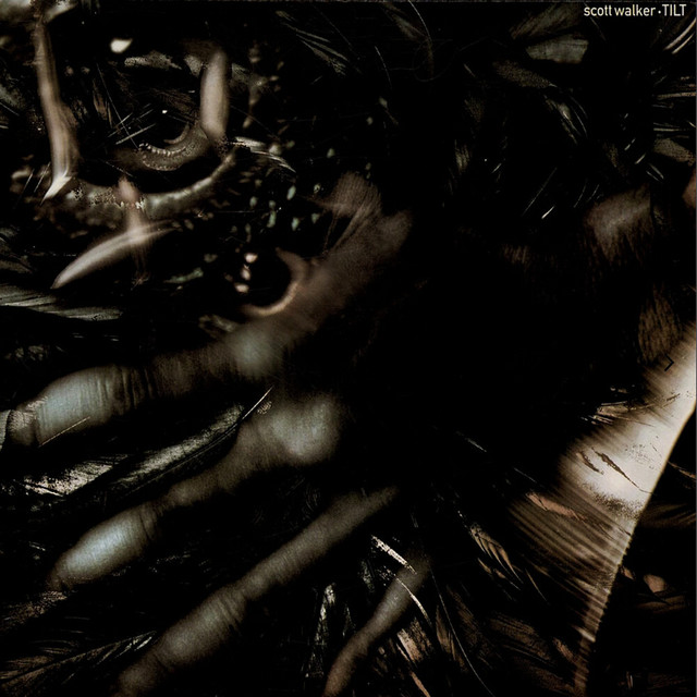 Tilt cover art
