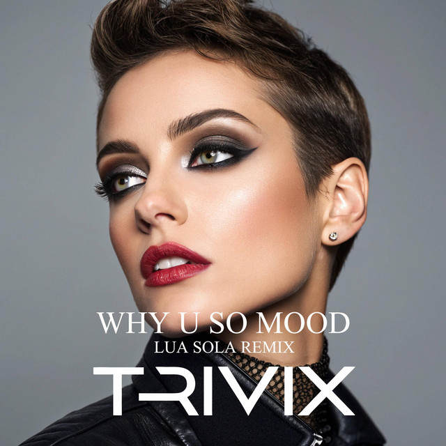 Why You So Mood - Radio Edit