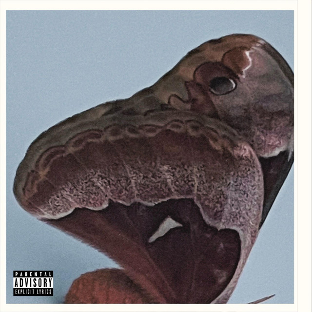 Fall Collection 002 (inspired by a internal chaos) cover art