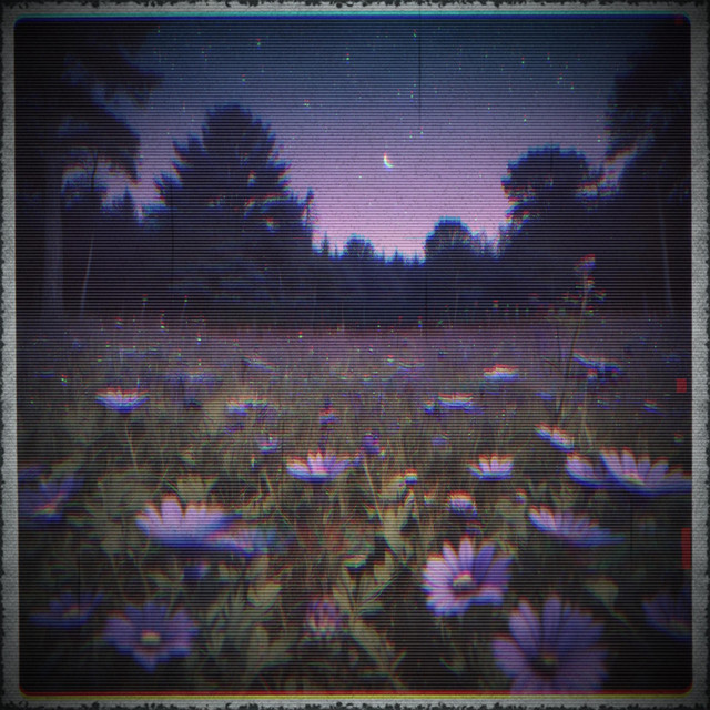 rebirth cover art