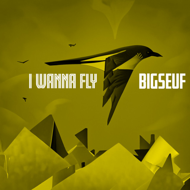 I Wanna Fly cover art