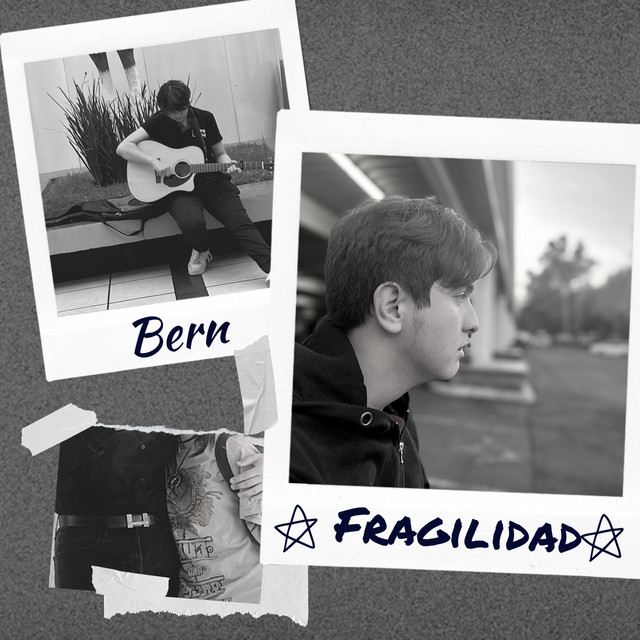 Fragilidad cover art