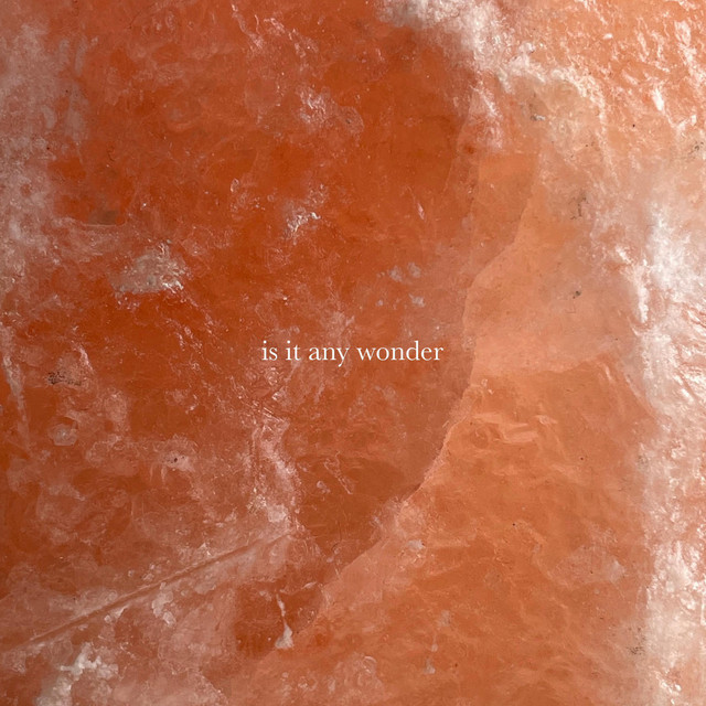 is it any wonder cover