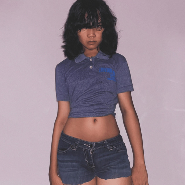 DIARYOFAHUGESLUT cover art