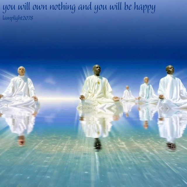 you will own nothing and you will be happy cover art