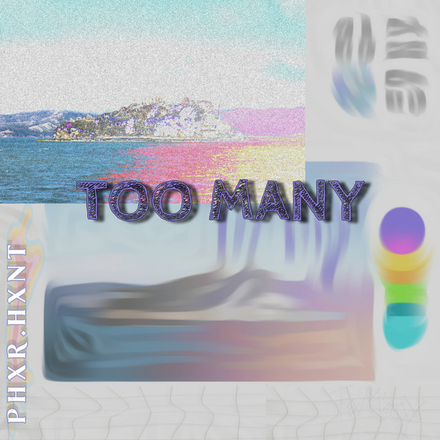 TOO MANY cover art
