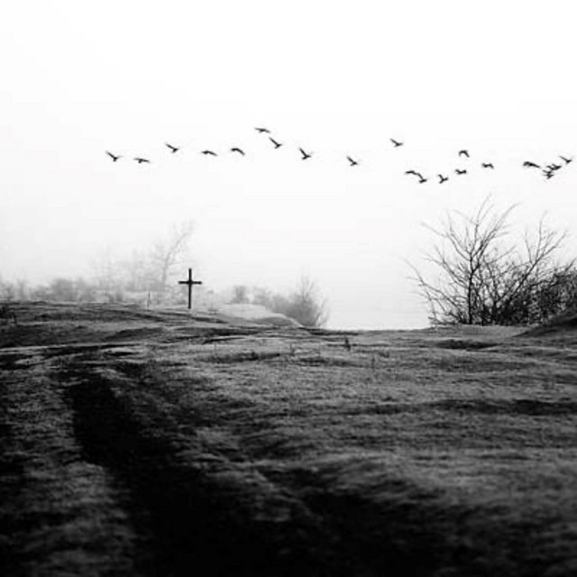 wind (feat. Fl.vco)