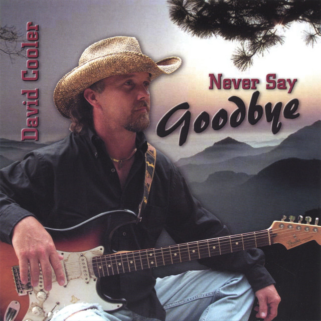 Never Say Goodbye cover art