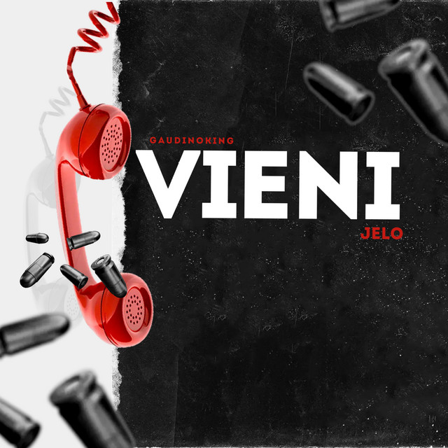 VIENI cover art