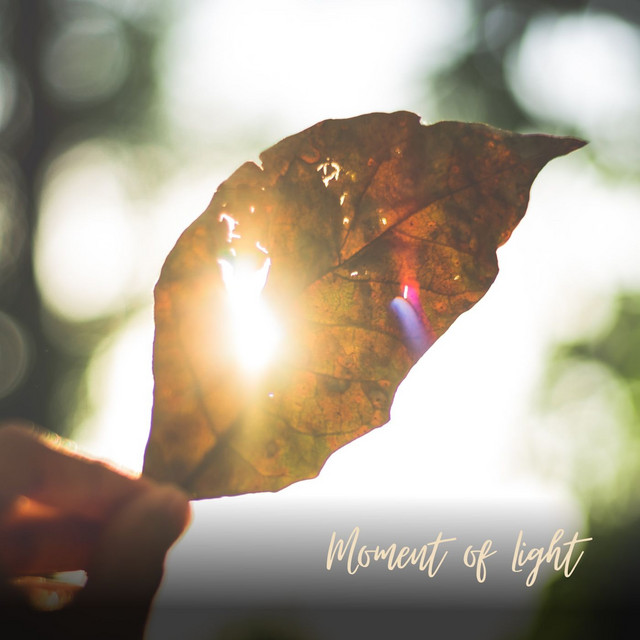Moment of Light