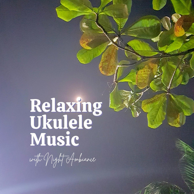 Relaxing Ukulele Music with Night Ambiance cover art