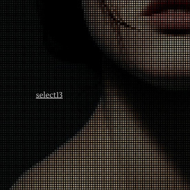 select13 cover art