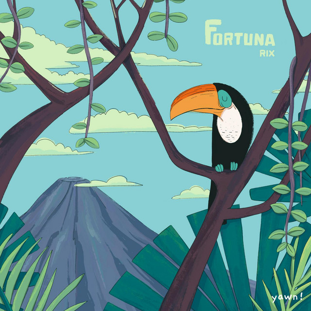 Fortuna cover art