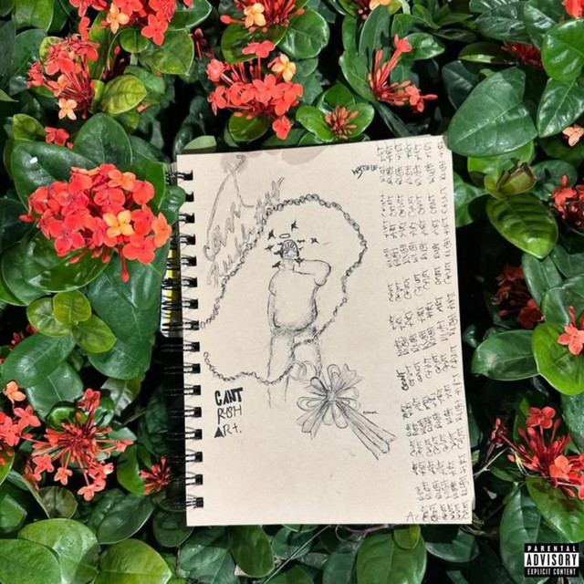 cant rush art cover art