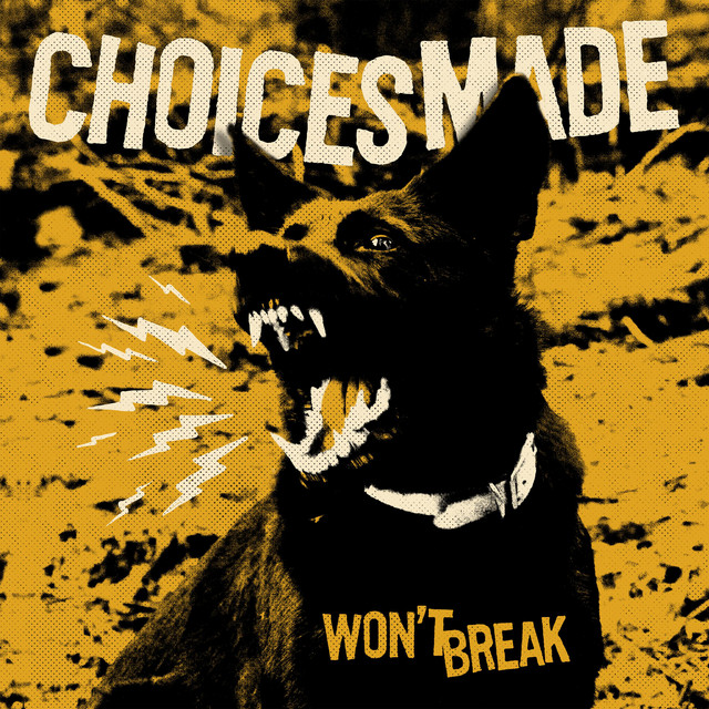 Won't Break cover