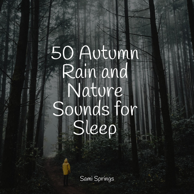 50 Autumn Rain and Nature Sounds for Sleep - Album by Sleep Sounds of ...