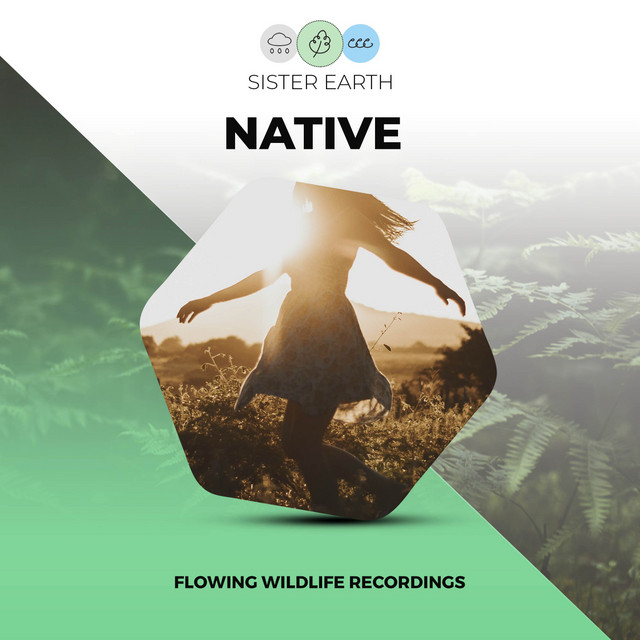 Flowing Native Wildlife Recordings - Single by Nature Sounds | Spotify