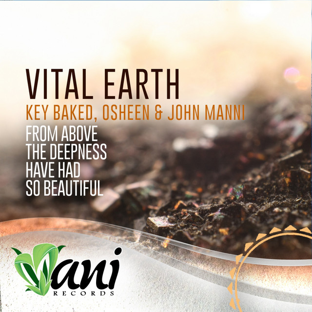 Vital Earth cover art