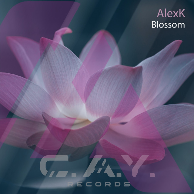 Обкладинка: Blossom - original mix — AlexK