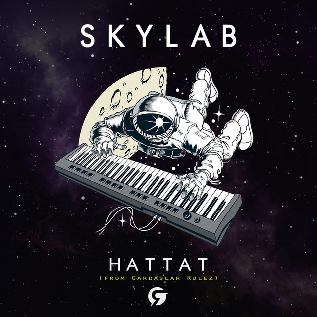 Skylab cover art