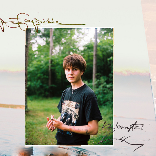 Forbilde cover art