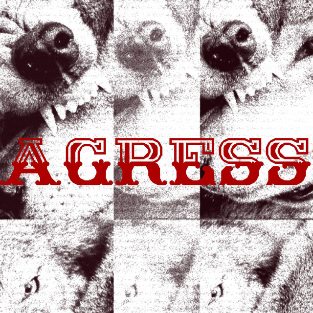 Обкладинка: AGRESS — HELLOLLEH