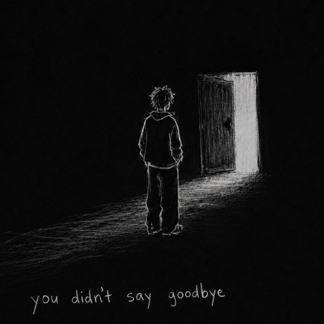 you didn't say goodbye album image