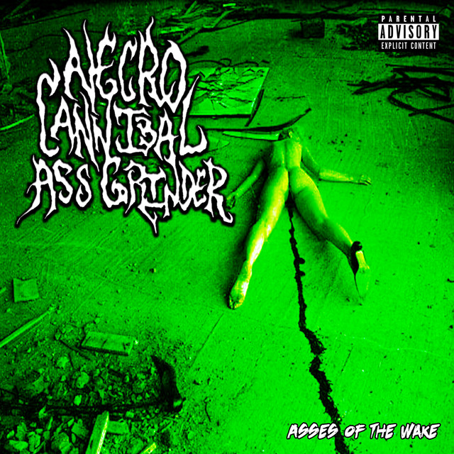Asses of the Wake cover art