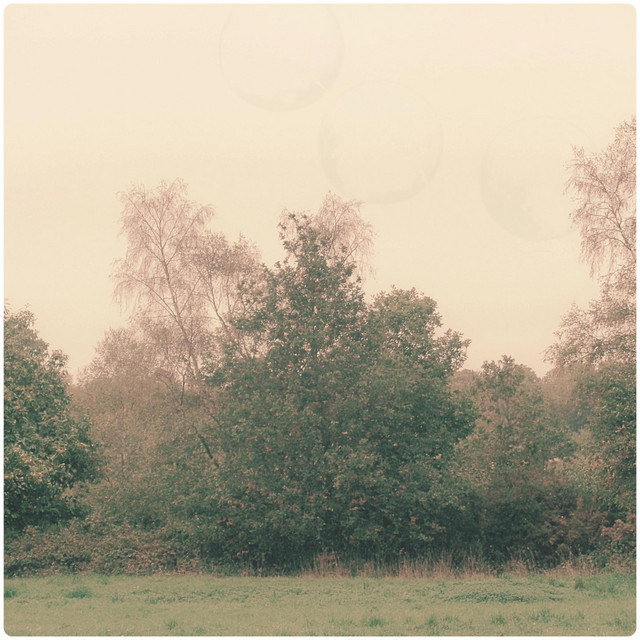 Hassle cover art