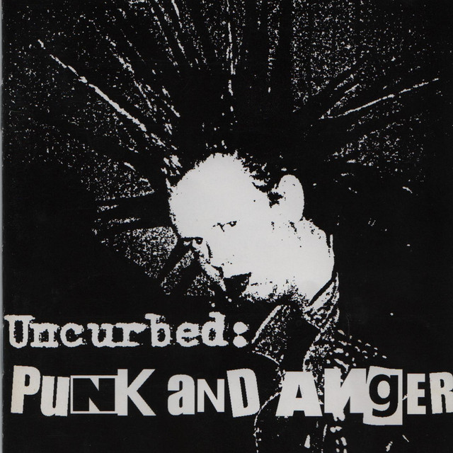 Punk and Anger cover art