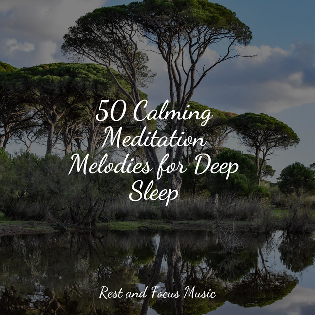 50 Calming Meditation Melodies for Deep Sleep - Album by Deep Sleep ...