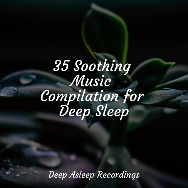 35 Soothing Music Compilation for Deep Sleep - Album by Massage Tribe ...